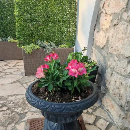 Sunset Apartment Privlaka (Zadar)