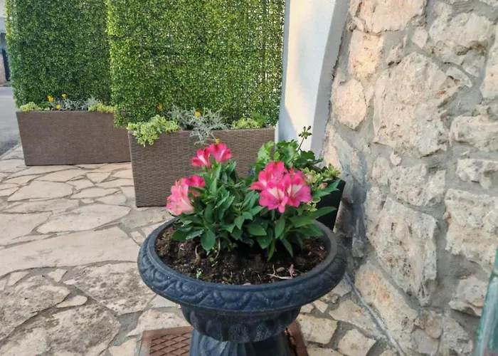 Sunset Apartment Privlaka (Zadar)